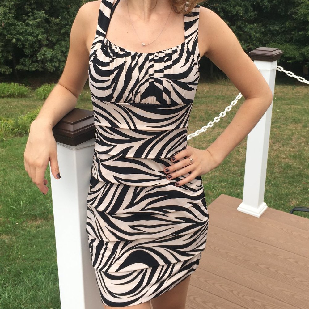 Sweet Storm Black and Brown Striped Dress